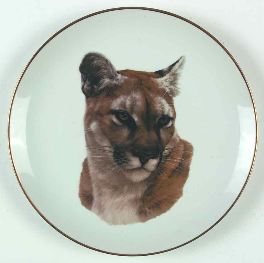 The Great Cats Puma - No Box by American Coll Guild-1