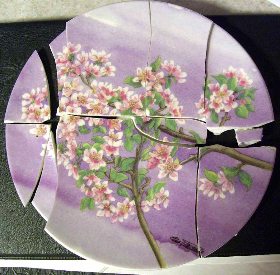 Arabia Single Release Plates Apple Tree - No Box by Arabia of Finland-1