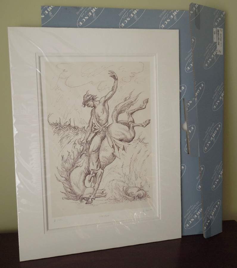 Art Print Wild Horse - Boxed by Armani-1