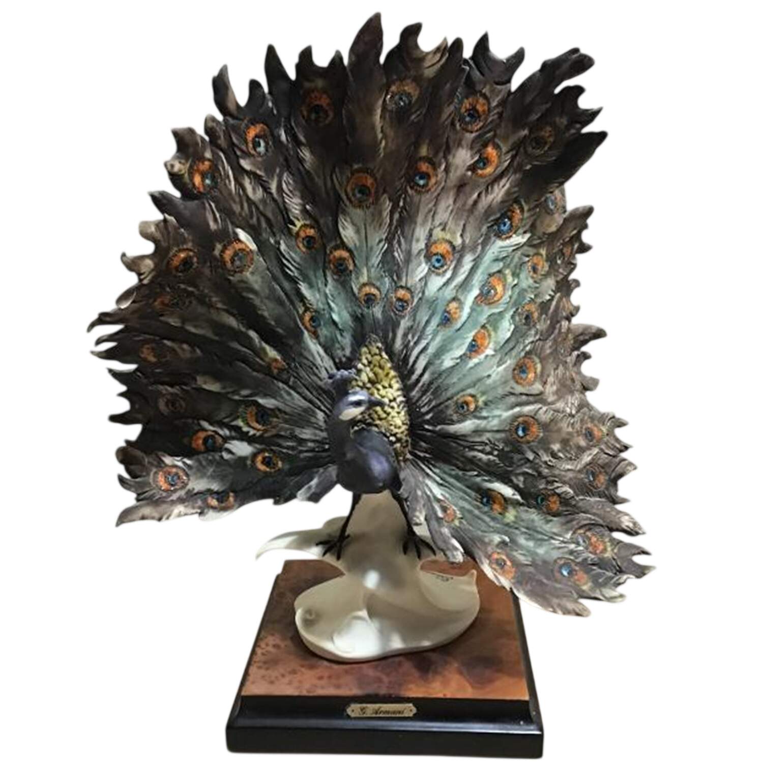 Peacocks Peacock - No Box by Armani-1