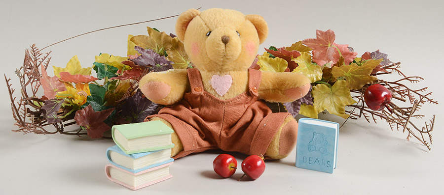 Cherished Teddies Monthly Friends Seth (September) + Fall Swag - No Box by Ashton Drake-1
