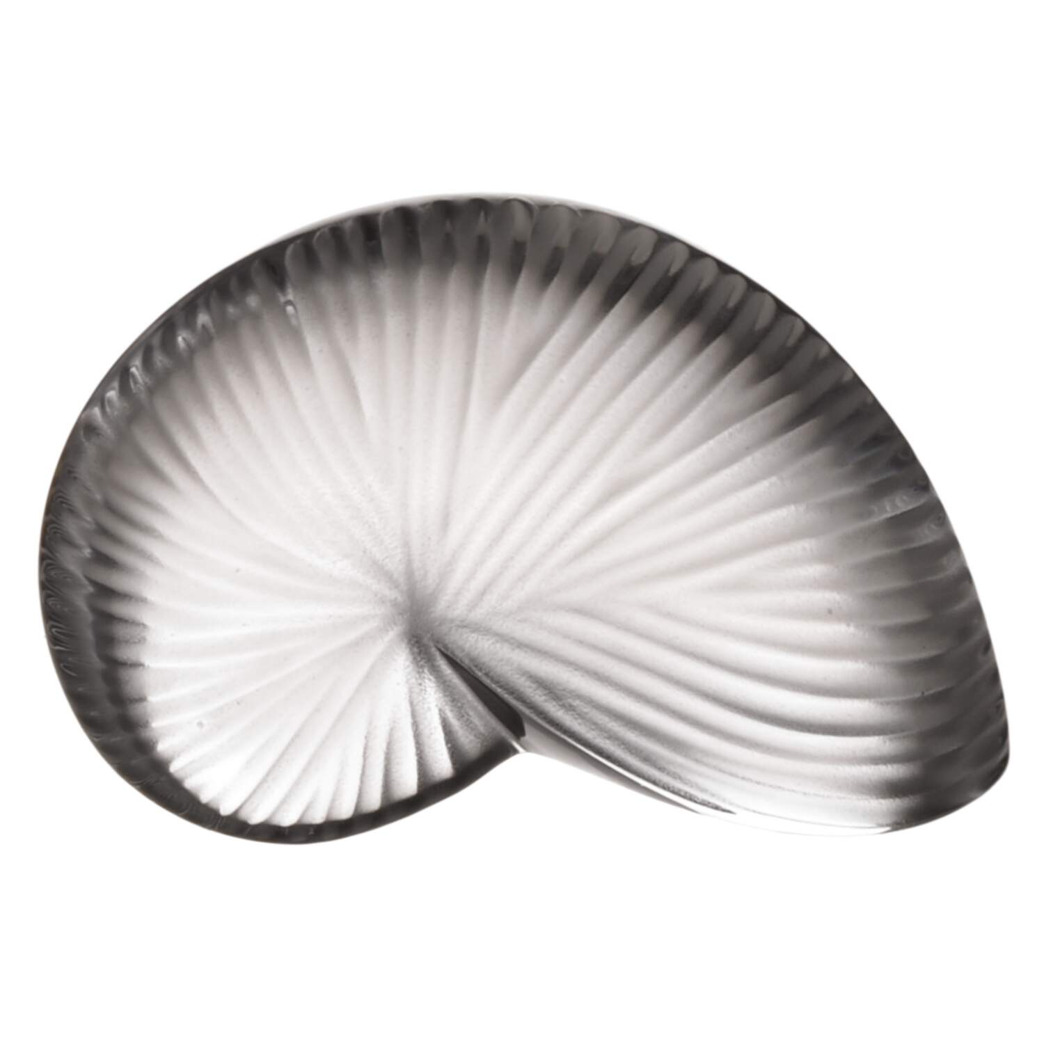 Baccarat Crystal Figurines Nautilus-Frosted - No Box Nb2088 by Baccarat-1