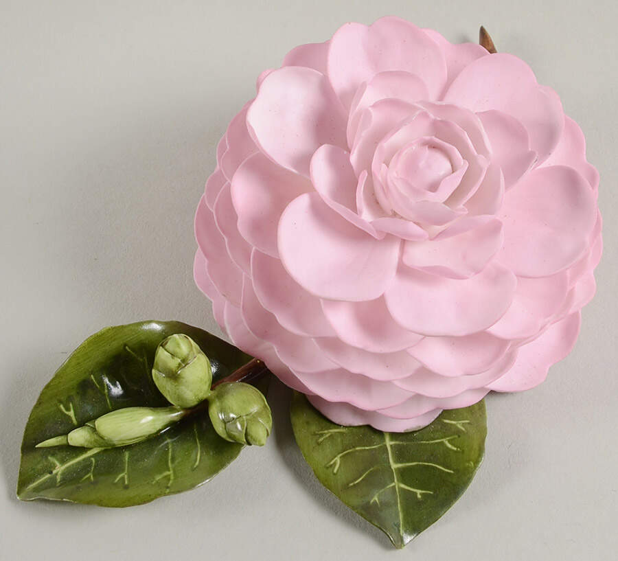 Flower Sculptures Camellia-Pink Frost - No Box by Boehm-1