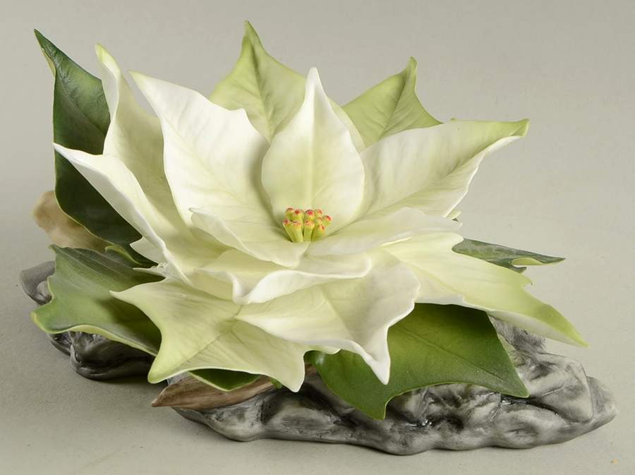 Flower Sculptures Ivory Poinsettia - No Box by Boehm-1