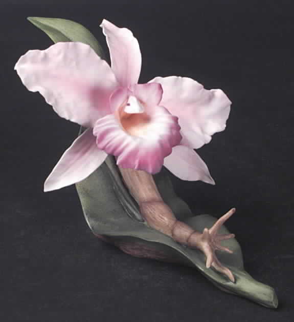 Flower Sculptures Cattleya Orchid-Pink - No Box by Boehm-1