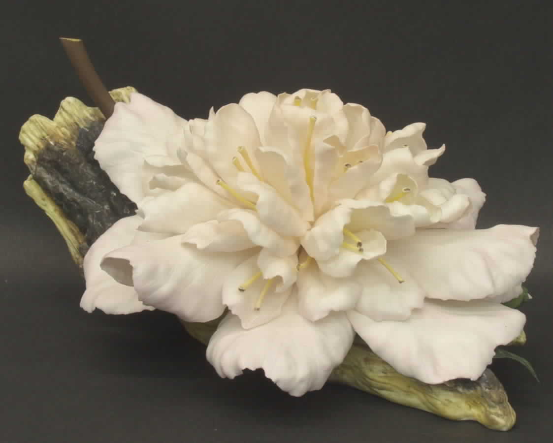 Flower Sculptures Helen Boehm Camelia - W-8" - No Box by Boehm-1