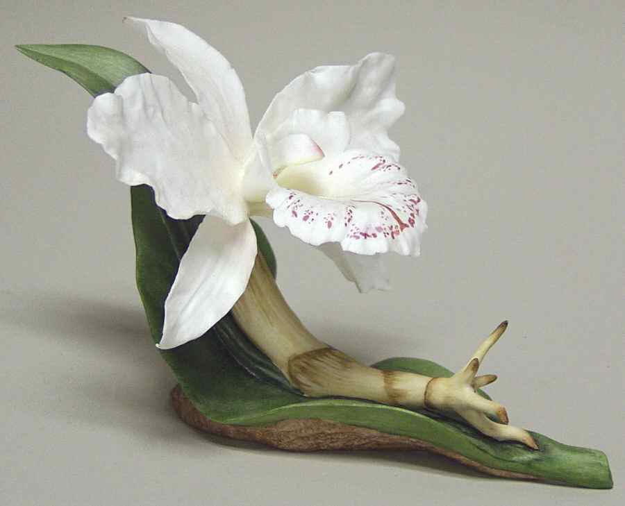 Flower Sculptures Cattleya Orchid-White - No Box by Boehm-1
