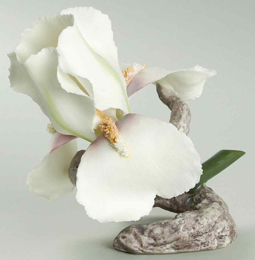 Flower Sculptures Pontiff Iris - No Box by Boehm-1
