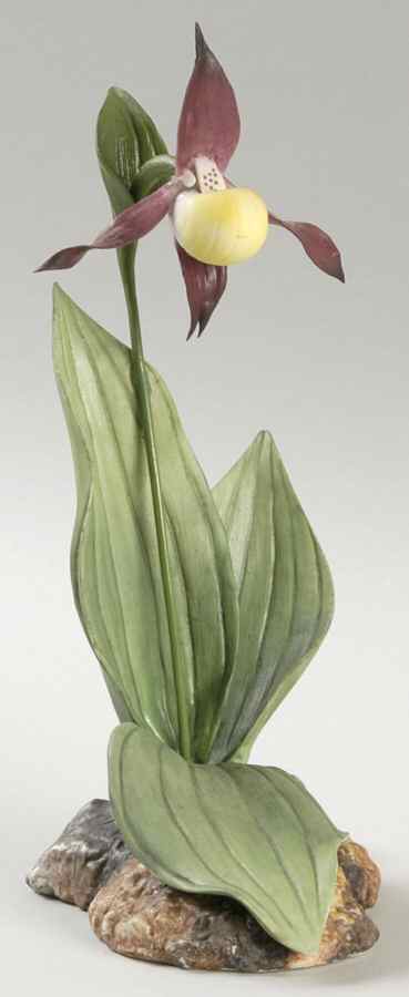 Flower Sculptures Ladys Slipper - No Box by Boehm-1