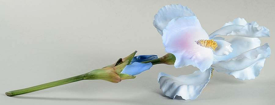 Flower Sculptures Iris Stem-Malvern - No Box by Boehm-1