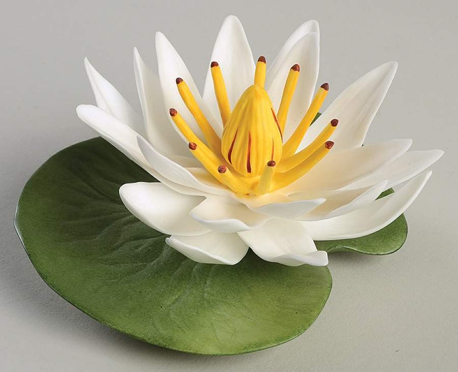 Flower Sculptures Boehm Society Waterlily - No Box by Boehm-1