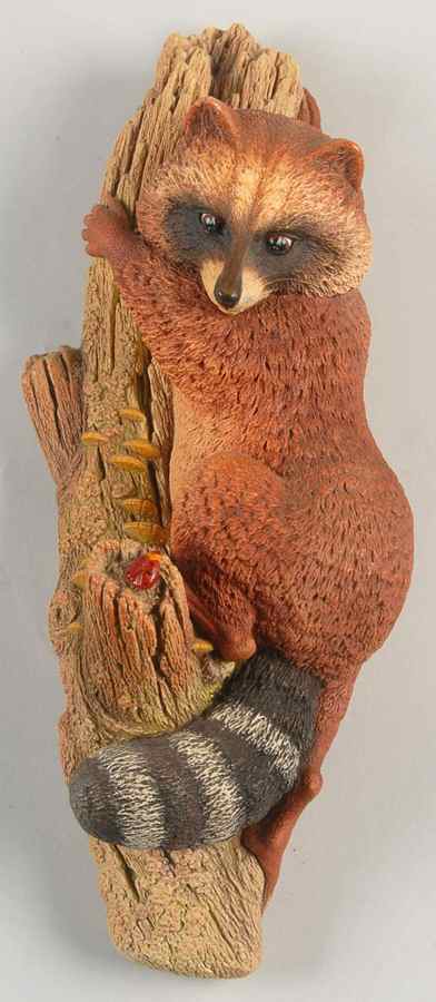 Wildlife Raccoon - Boxed by Bossons-1
