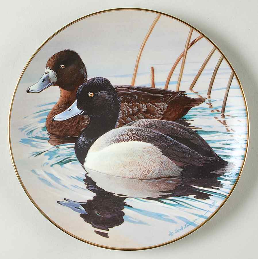 Natures Heritage Lesser Scaup - No Box by Bradford Exchange-1