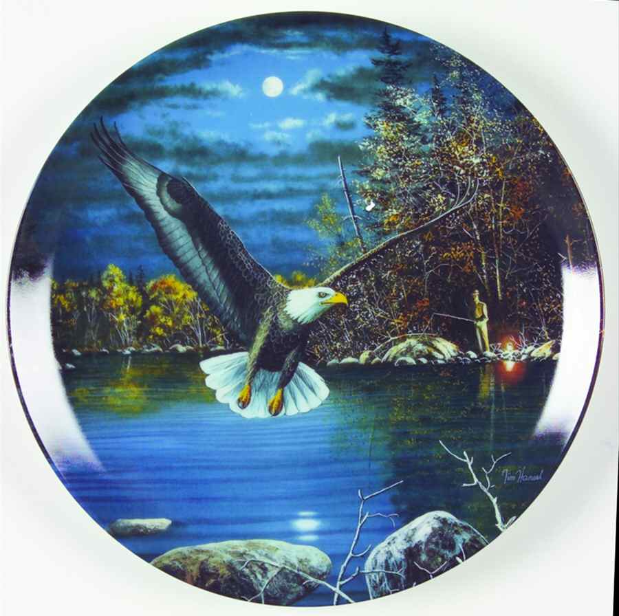 World of The Eagle Night Flyer - No Box by Bradford Exchange-1