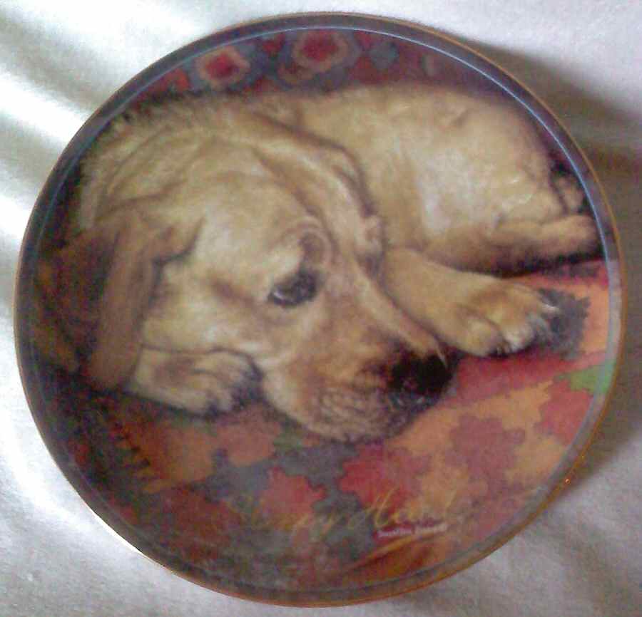 Comforts of Home Sleepy Head - No Box by Bradford Exchange-1