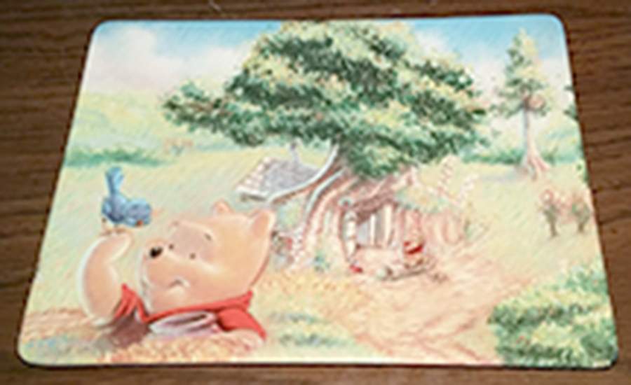 Hundred Acre Wood-A Special Place To Wonder Pooh Bear's House Of Warmth & Caring - No Box by Bradford Exchange-1