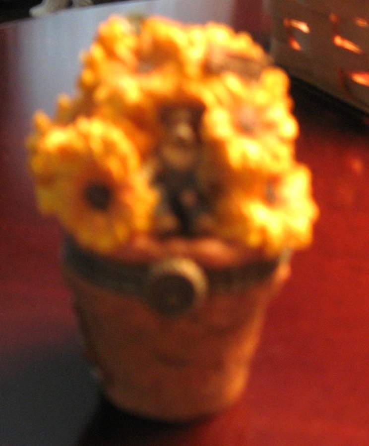 Uncle Bean's Treasure Boxes Potter B Bloombeary With Nibbles - No Box by Boyds Bears-1