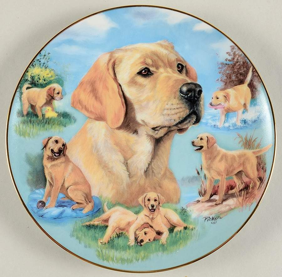 For the Love of Labs Faithful Friend - No Box by Bradford Exchange-1