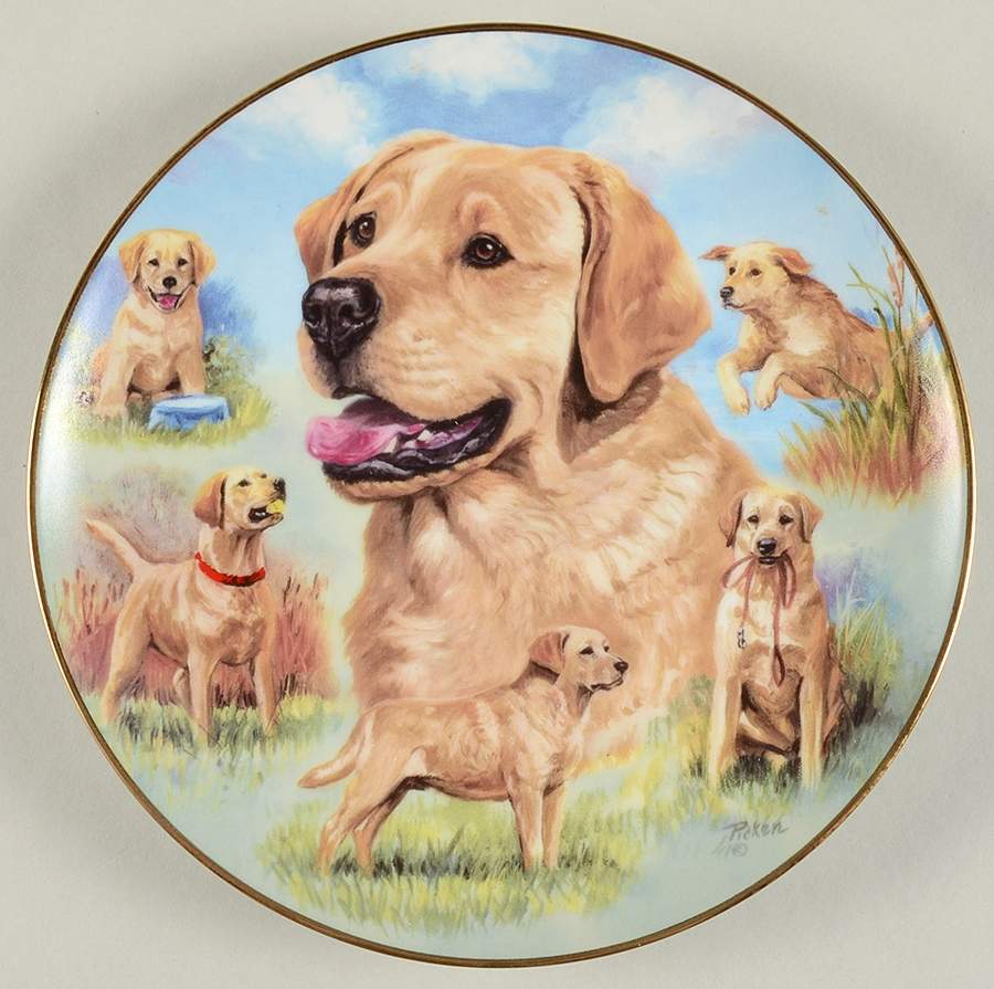 For the Love of Labs Loyal Companion - No Box by Bradford Exchange-1