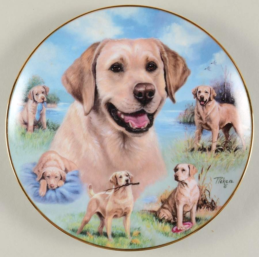For the Love of Labs Friends For Life - No Box by Bradford Exchange-1
