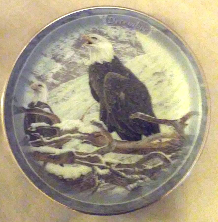 Majestic Sentinels Calendar December - No Box by Bradford Exchange-1