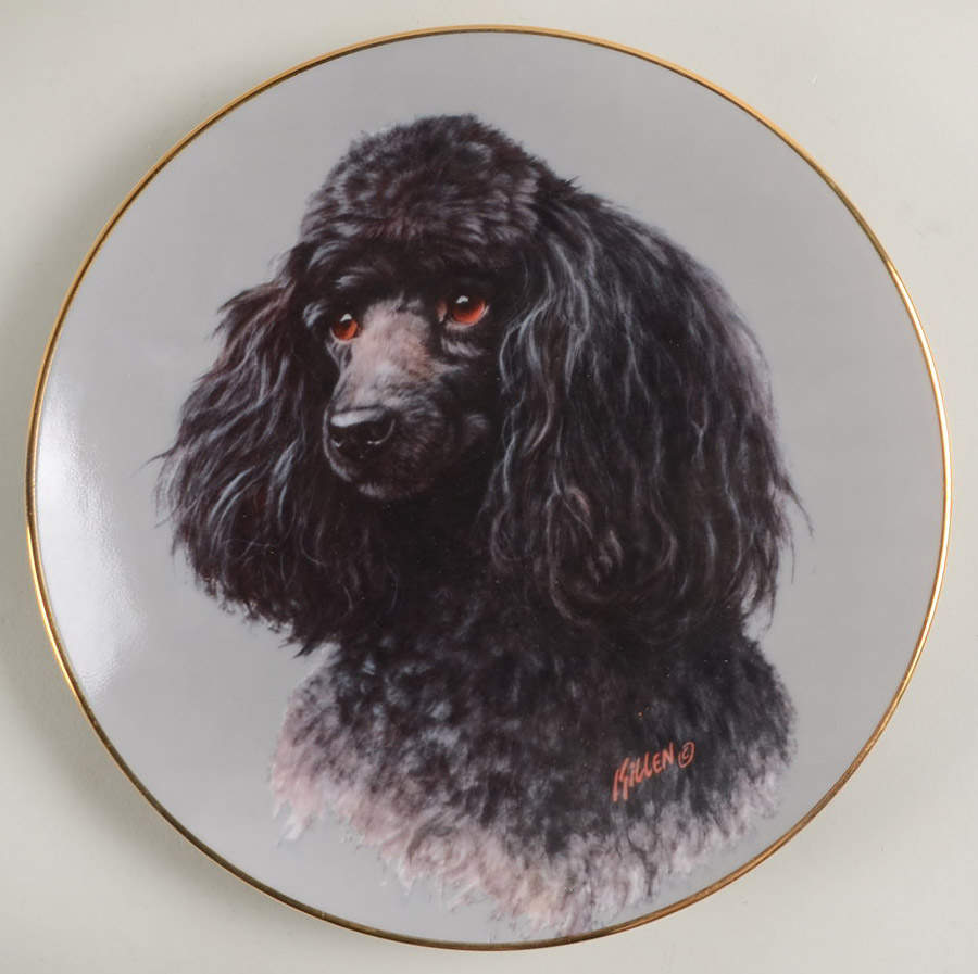 Thats My Dog Black Poodle - No Box by Celebrity Impressions-1