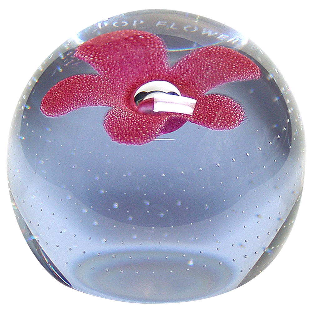 Caithness Paperweight Pop Flowers Red - Boxed by Caithness-1