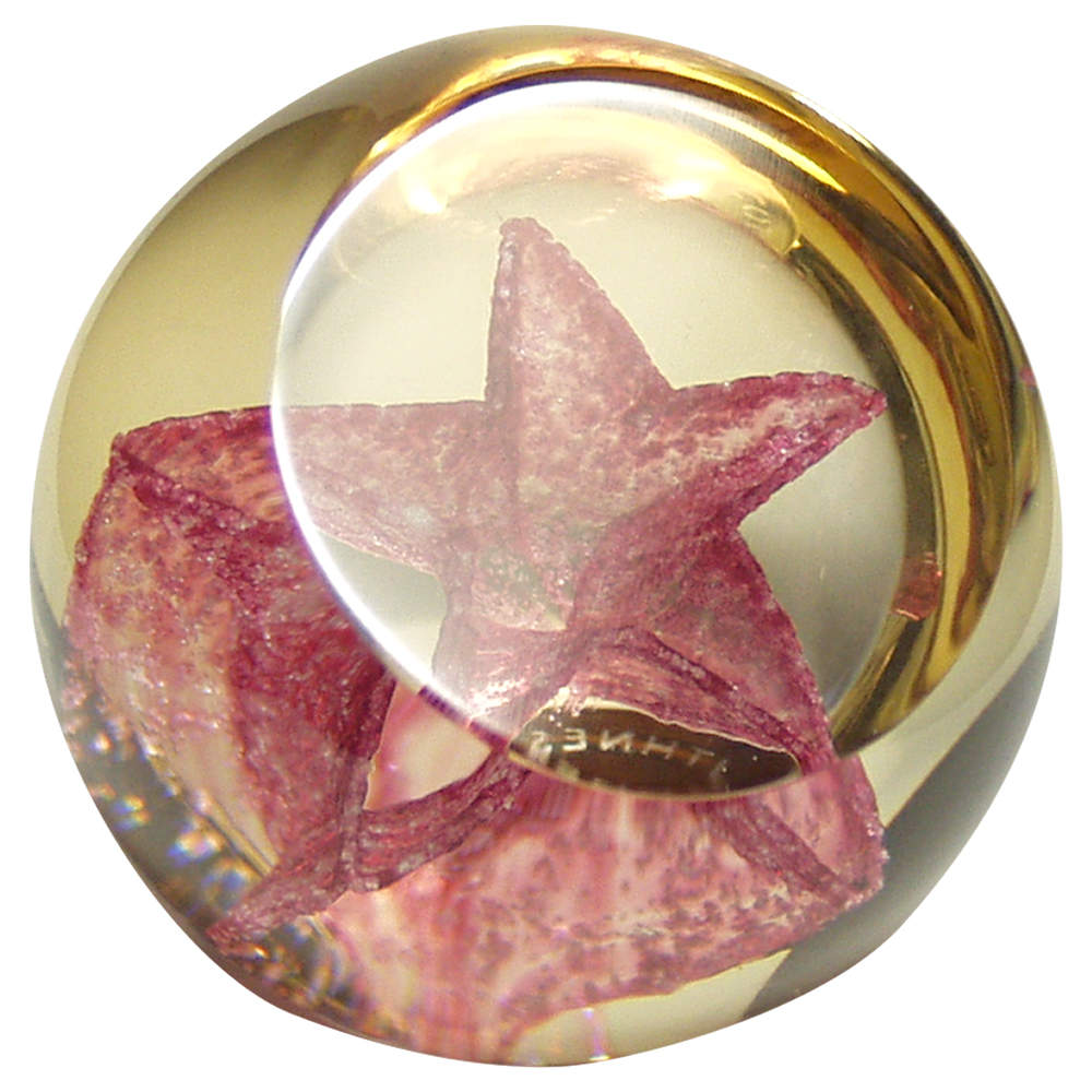 Caithness Paperweight Wee Star Pink - Boxed by Caithness-1