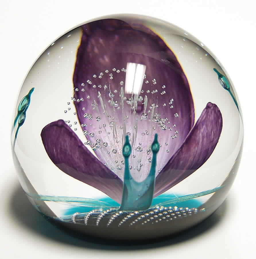 Caithness Paperweight Firework Orchid - Boxed by Caithness-1