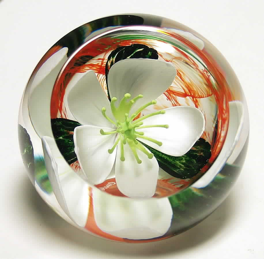 Caithness Paperweight Festive Rose - Boxed by Caithness-1
