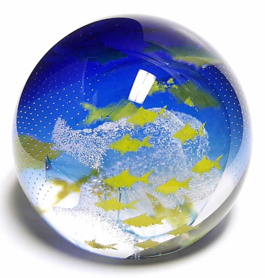 Caithness Paperweight Shoal Mates - Boxed by Caithness-1