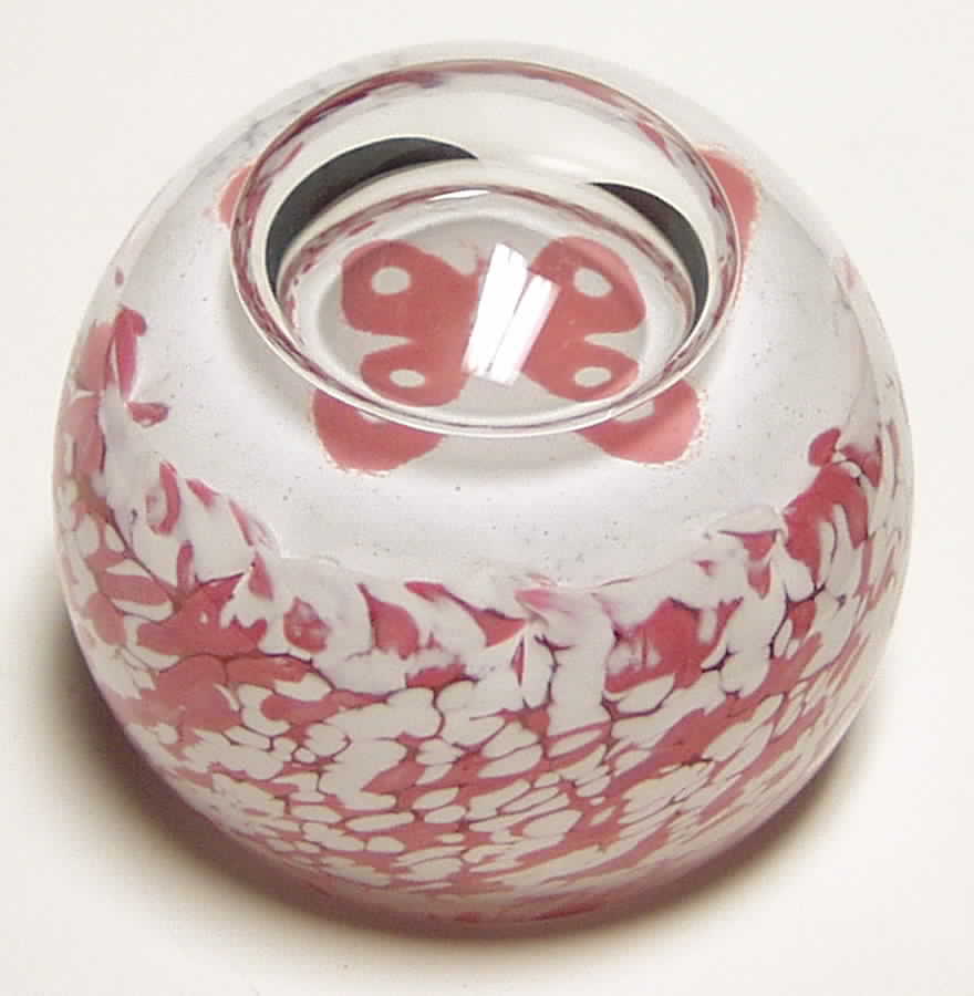 Caithness Paperweight Bugs-Butterfly - Boxed by Caithness-1