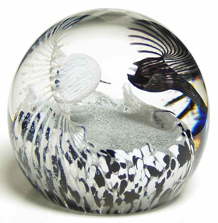 Caithness Paperweight Luscious Lashes-Black & White - No Box by Caithness-1