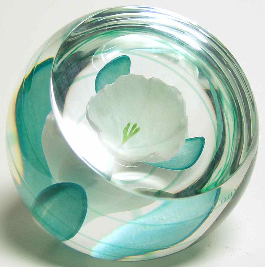 Caithness Paperweight Silverbush-Botanical Studies - With Box by Caithness-1