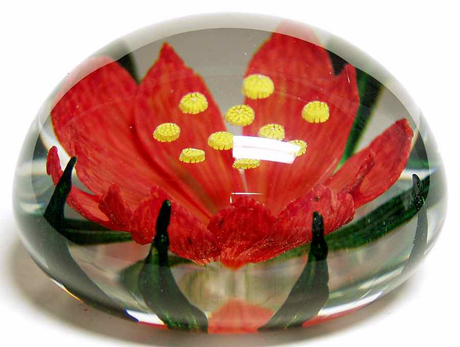 Caithness Paperweight Festive Beauty - No Box by Caithness-1
