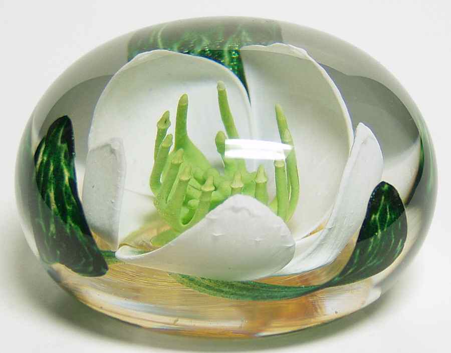 Caithness Paperweight Winter Rose - With Box by Caithness-1