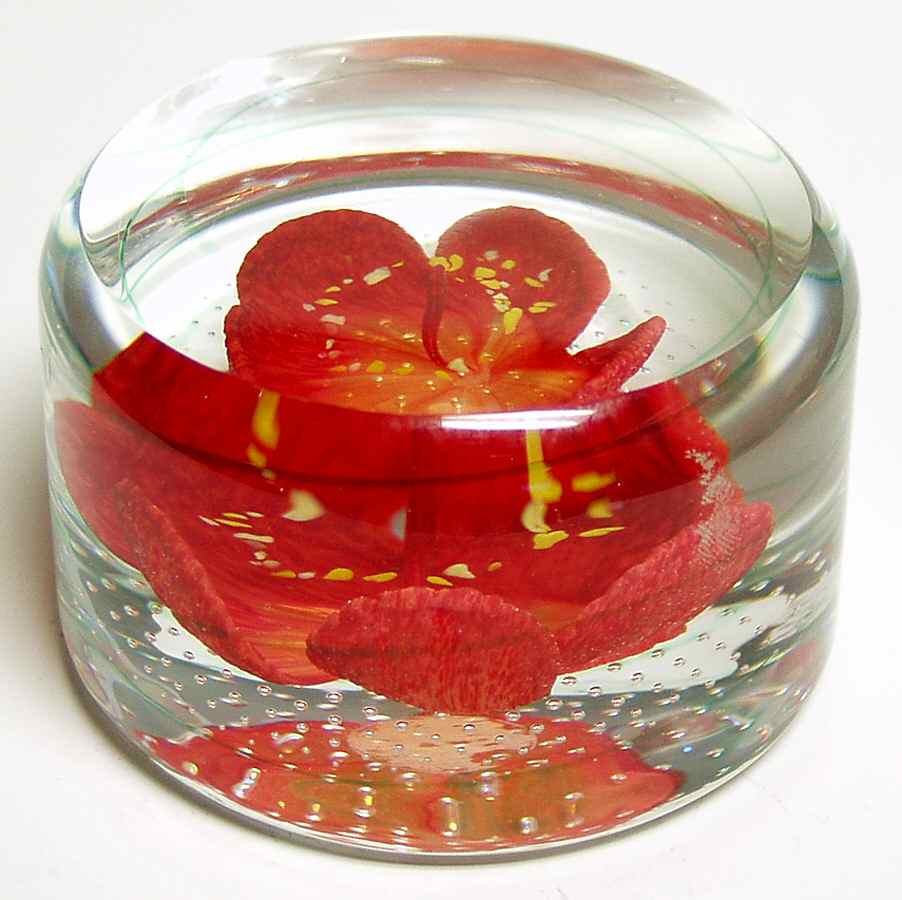 Caithness Paperweight Tropical Wonder-Floral Garden - No Box by Caithness-1