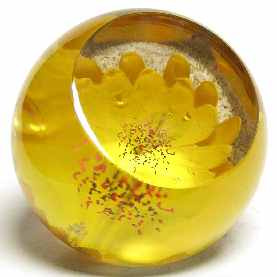 Caithness Paperweight Sunflower - No Box by Caithness-1