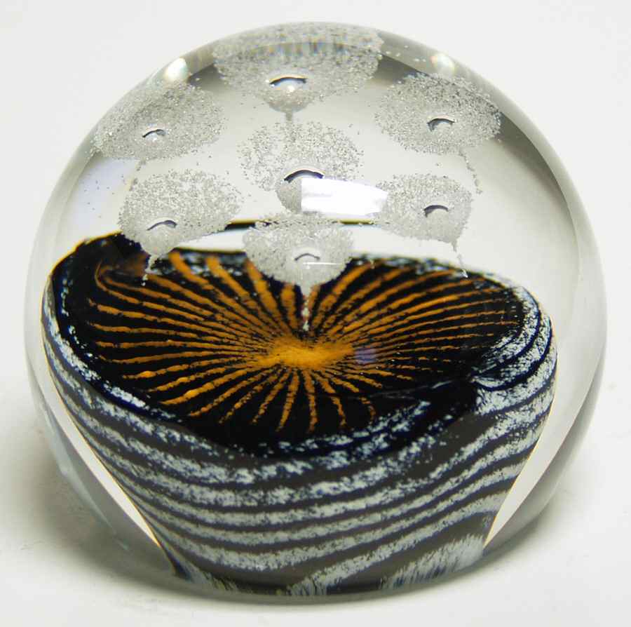 Caithness Paperweight Seeds Of Time - No Box by Caithness-1