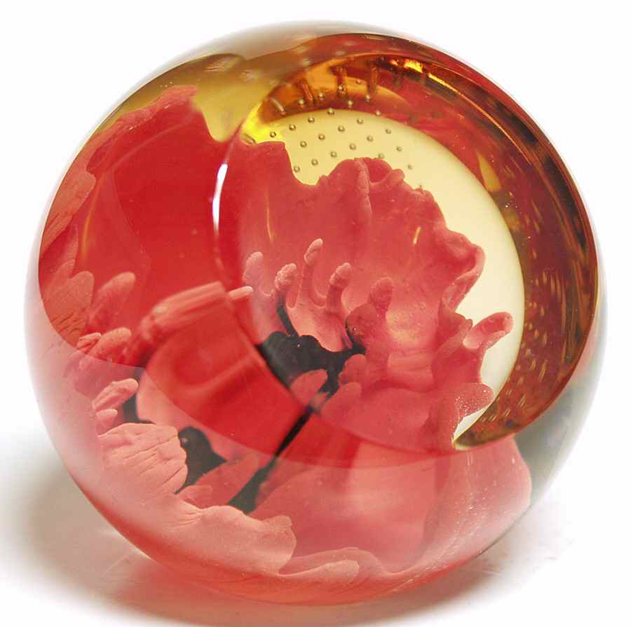 Caithness Paperweight Floral Charms: Red Poppy - Boxed by Caithness-1
