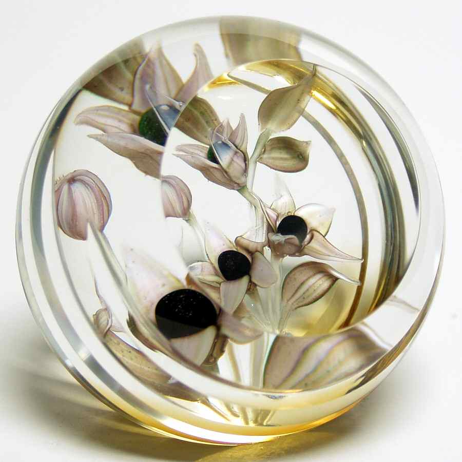 Caithness Paperweight Belladonna - Boxed by Caithness-1