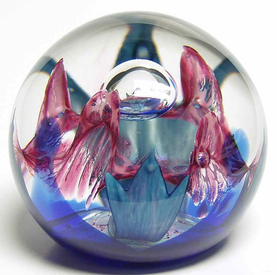 Caithness Paperweight Wisdom - Boxed by Caithness-1