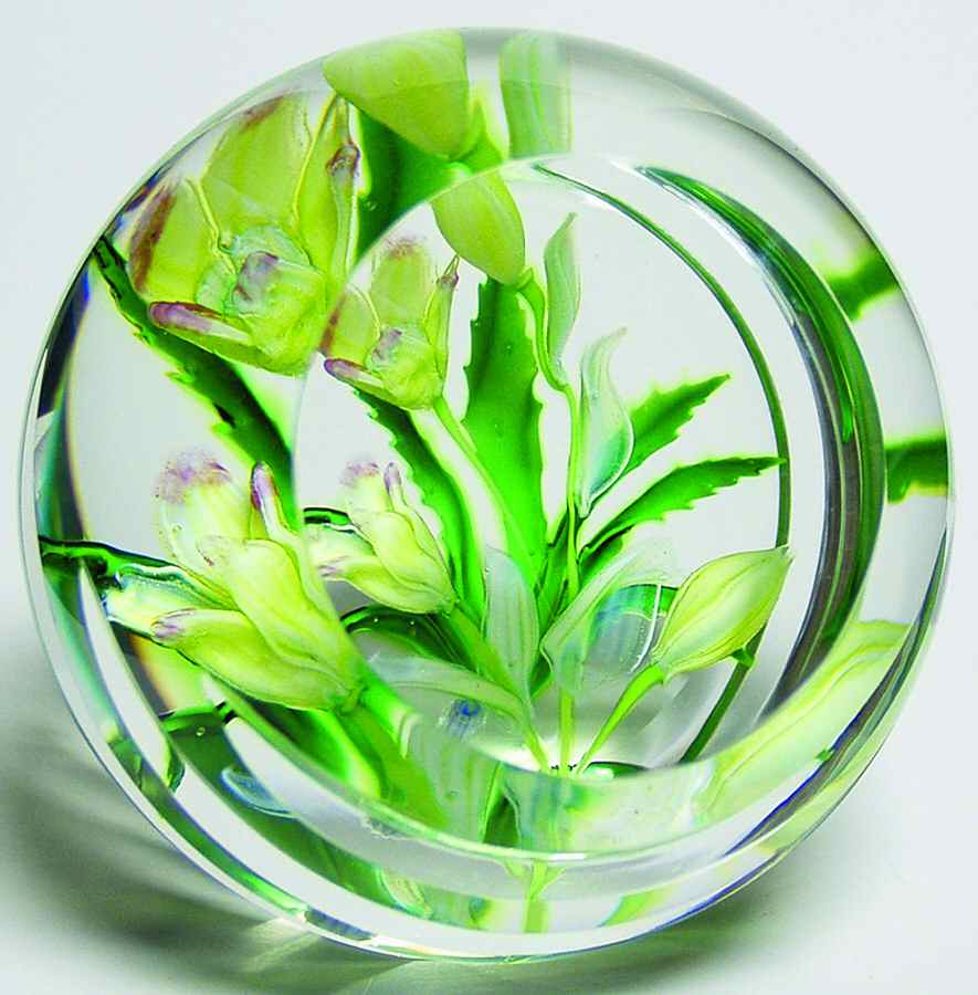 Caithness Paperweight Hellebore - With Box by Caithness-1