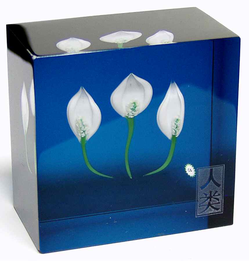 Caithness Paperweight Humanity - With Box by Caithness-1