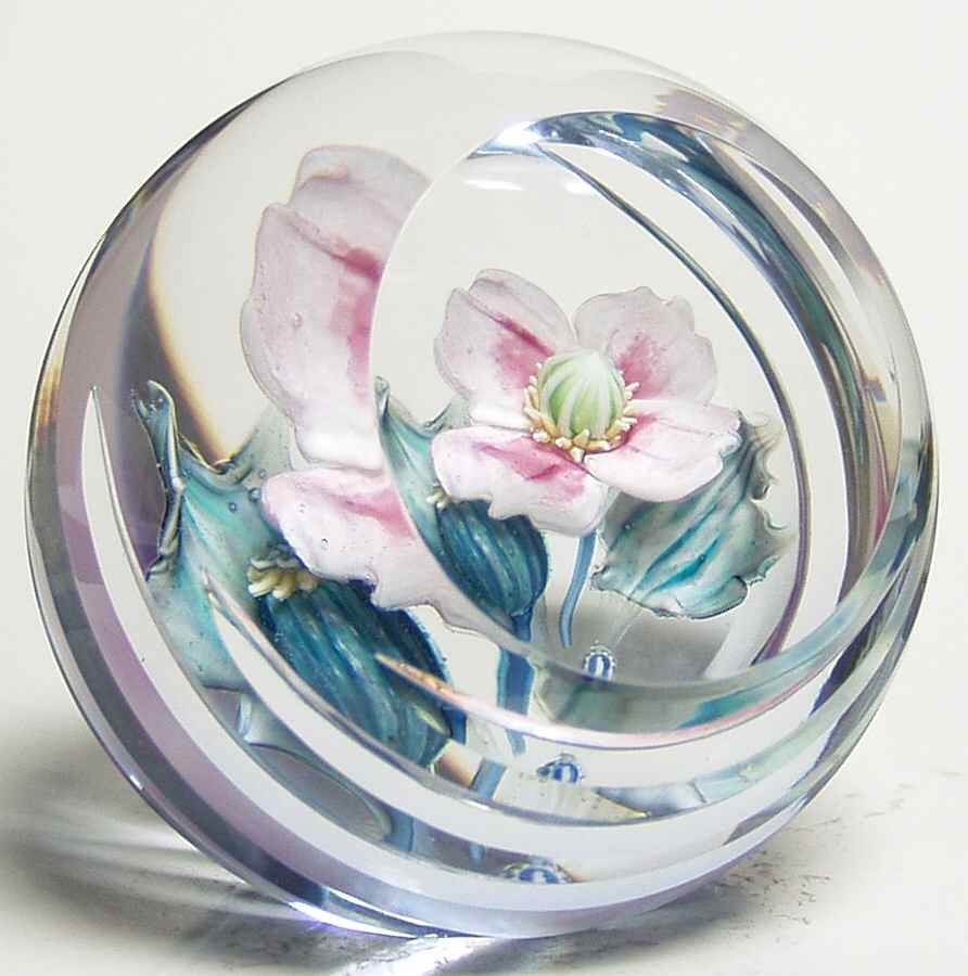 Caithness Paperweight Papaver - No Box by Caithness-1