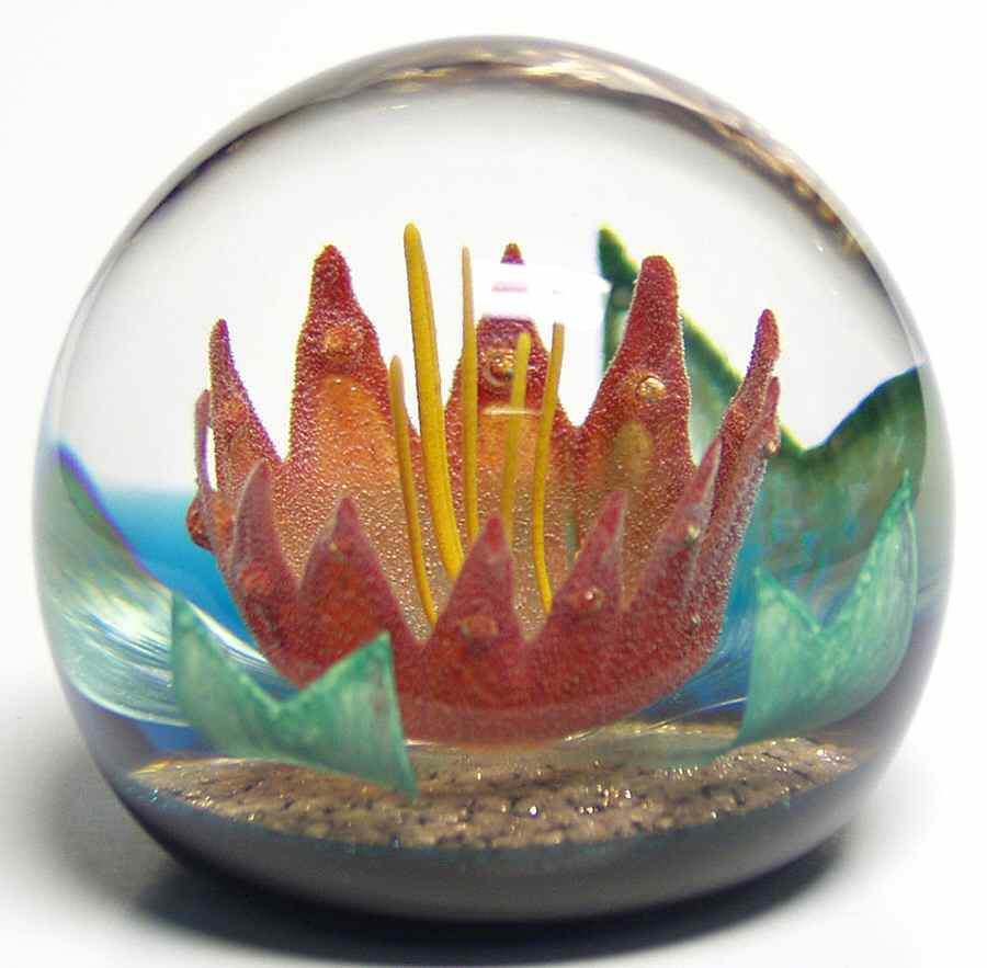 Caithness Paperweight Selene - No Box by Caithness-1
