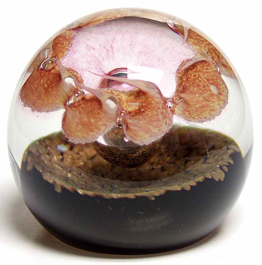 Caithness Paperweight Cosmic Crown - Boxed by Caithness-1