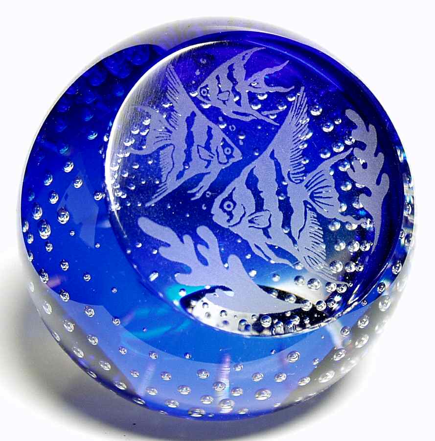 Caithness Paperweight Angel Fish-Blue - Boxed by Caithness-1