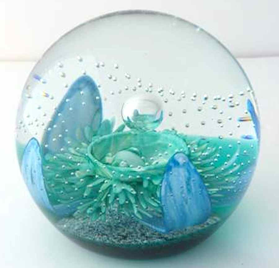 Caithness Paperweight Aquamarina-Collectors - With Box Bx657 by Caithness-1