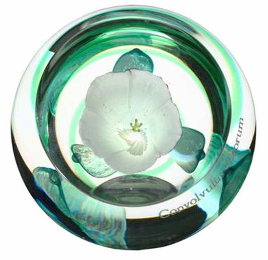 Caithness Paperweight Silverbush - Nb699, No Box by Caithness-1